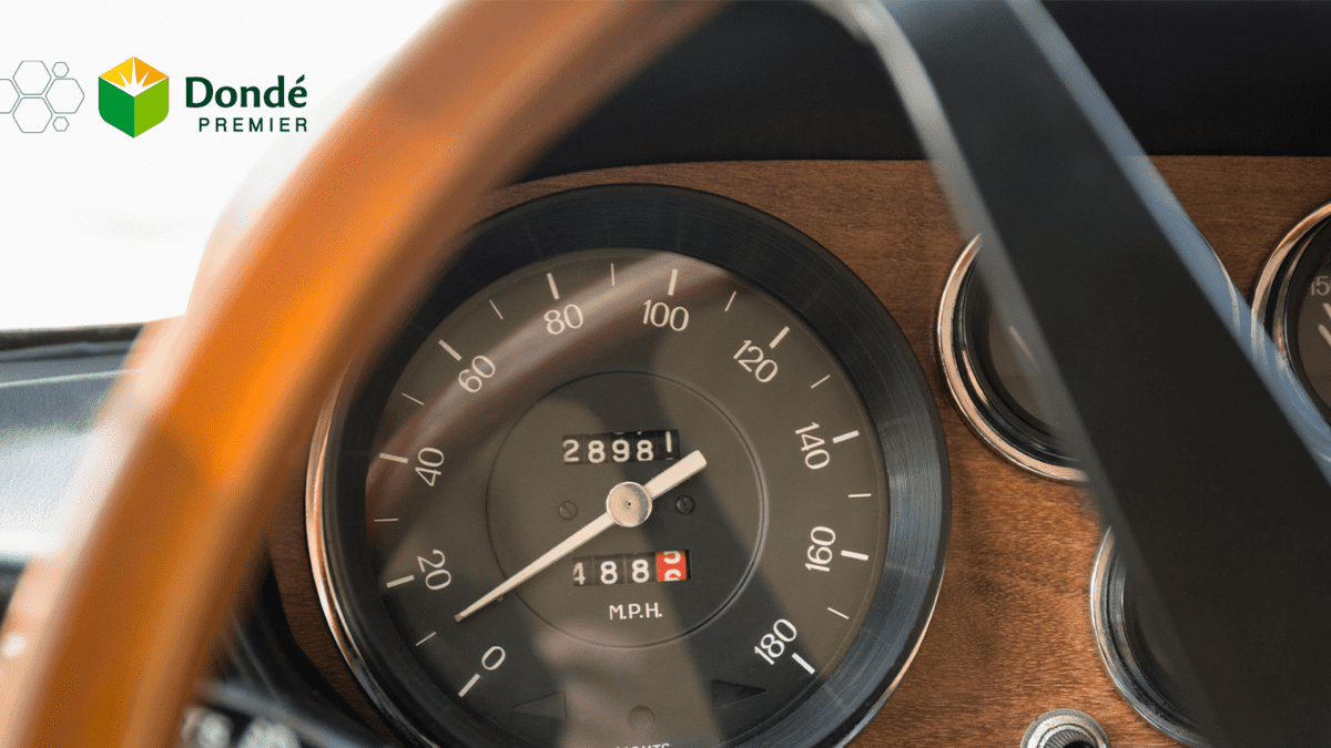 Tradición italiana en Autos